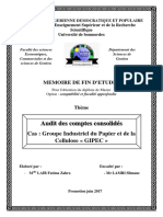 Consolidation Audit Gipec - Laib Fatma Zohra PDF