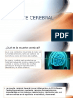 MUERTE CEREBRAL SCR - Odp