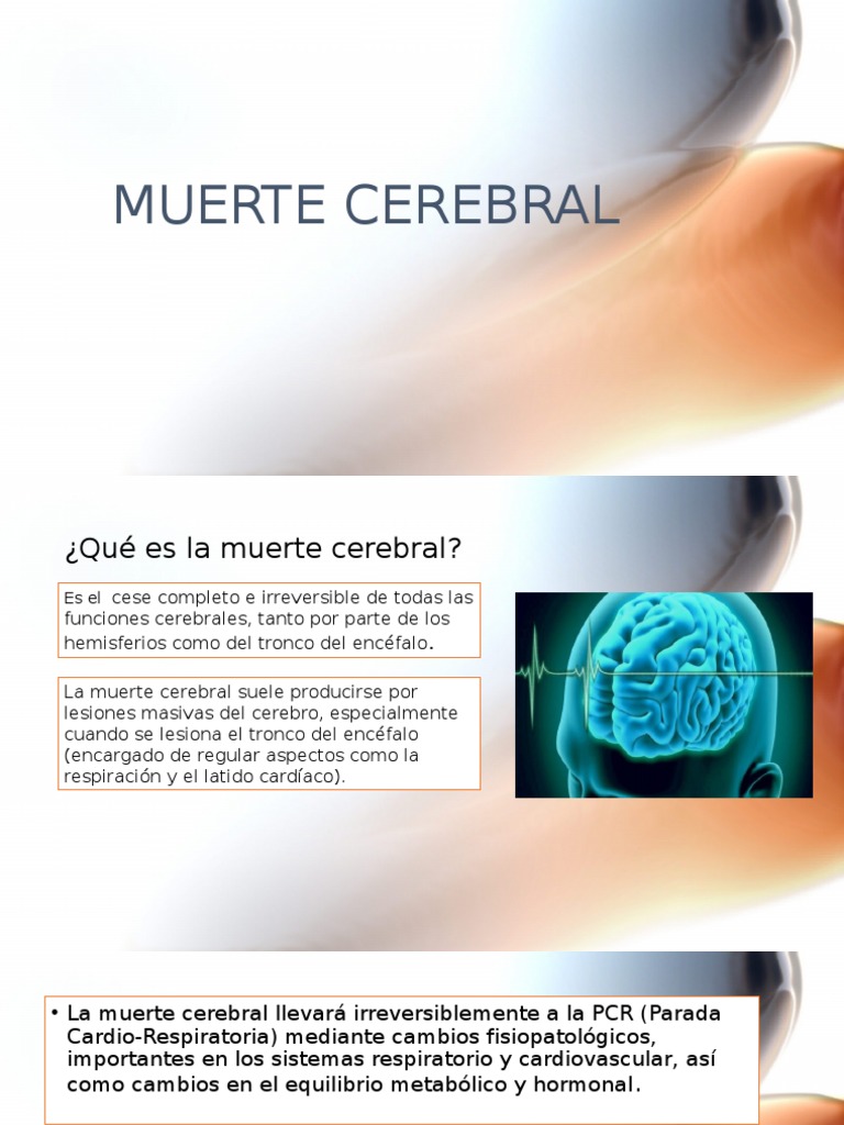 Signos y diagnóstico de muerte cerebral | PDF | Cerebro | Muerte