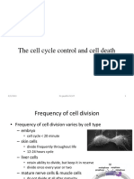 The Cell Cycle Control and Cell Death: A Concise Overview