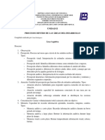 Procesos de Las Áreas Del Desarrollo