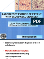 Laboratory Picture of Patient With Blood Cell Disorder
