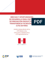 Brechas_y_Oportunidades_de_Desarrollo_para_CITE_ONUDI_2016_1.pdf