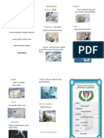 INTRODUCTION DEL OSO POLAR.docx