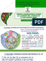 Sinodo Panamazonico Desde La Llamada de Laudato Si ¿ y Los Laicos Qué?