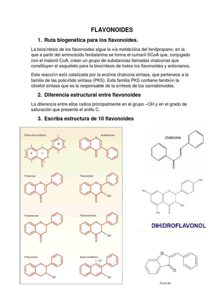 Biosíntesis y Estructura de Flavonoides | PDF | Salud y bienestar