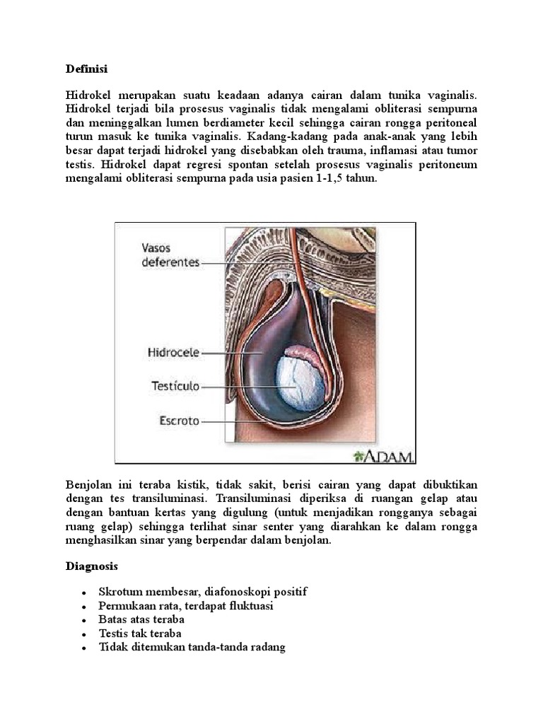 Yugurganimda ko‘kragim qaltiraydi.