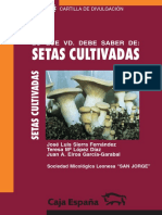 98274948-setas-cutilvadas.pdf