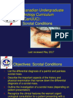 Canadian Undergraduate Urology Curriculum (Canuuc) : Scrotal Conditions