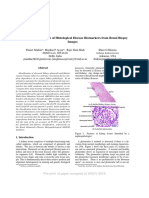 Exploring Classification of Histological Disease Biomarkers From Renal Biopsy Images