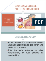 Enfermedades Respiratorias (Pato)