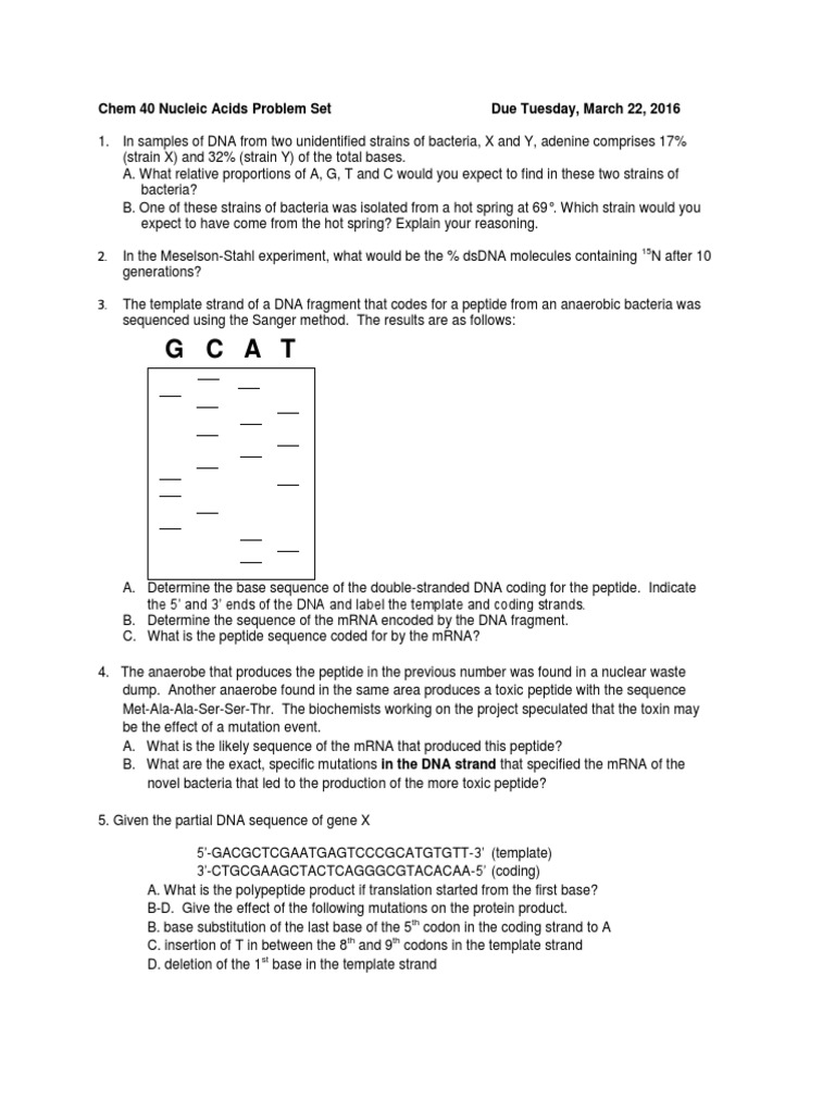 Chem 40 Nucleic Acids Problem Set | PDF | Plasmid | Dna Sequencing