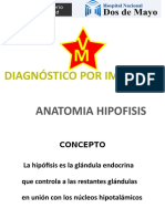 1. Anatomia y Patologia de Hipofisis