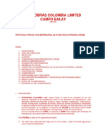 0 - PEAMI Plan Empresarial de Ayuda Mutua Integral 2011 PIME EYC DPBA