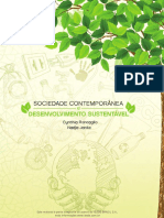 Sociedade e Desenvolvimento.pdf