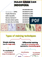 Pewarnaan Gram Dan Endospora