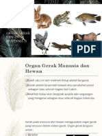 Organ Gerak Hewan Dan Manusia