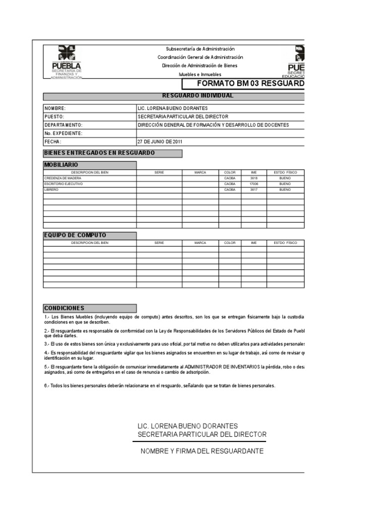 resguardo-individual-business