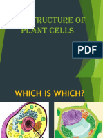 The Structure of Plant Cells