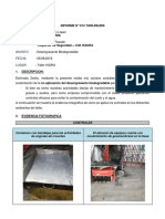 Informe de Desengrasante Biodegradable