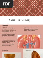 Apresentação de Glandulas suprarrenais 