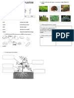 14 Guia de Refuerzo Plantas