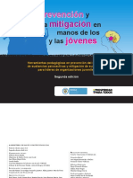Prevencion y mitigacion JOVENES_web.pdf