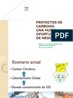 Exp.PROYECTOS-DE-CARBONO-CaritasGO.pdf