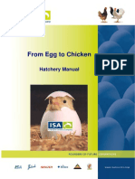 From Egg to Chicken.pdf