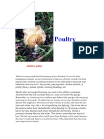 Poultry: Attentive Mother