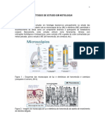 Microscopia Biomorfologia PDF