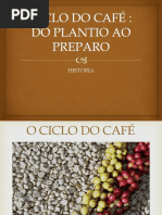 Ciclo Do Café