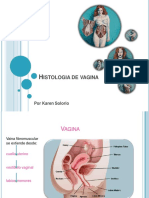 Histologiadevagina 121031034336 Phpapp01