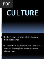 Culture