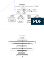 Klimakterium Pathway