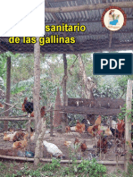 Manejo Sanitario de Las Gallinas