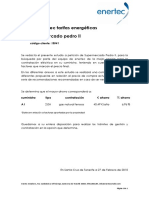 Estudio Enertec Tarifas Energéticas Supermercado Pedro II: Código Cliente: 15041