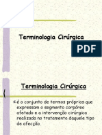 08 02 51 Terminologiacir Rgica2007