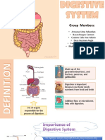 Digestive System