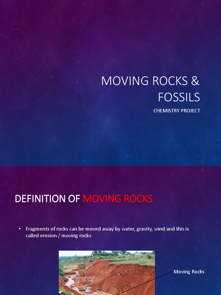 Geology Basics: Rocks & Fossils | PDF