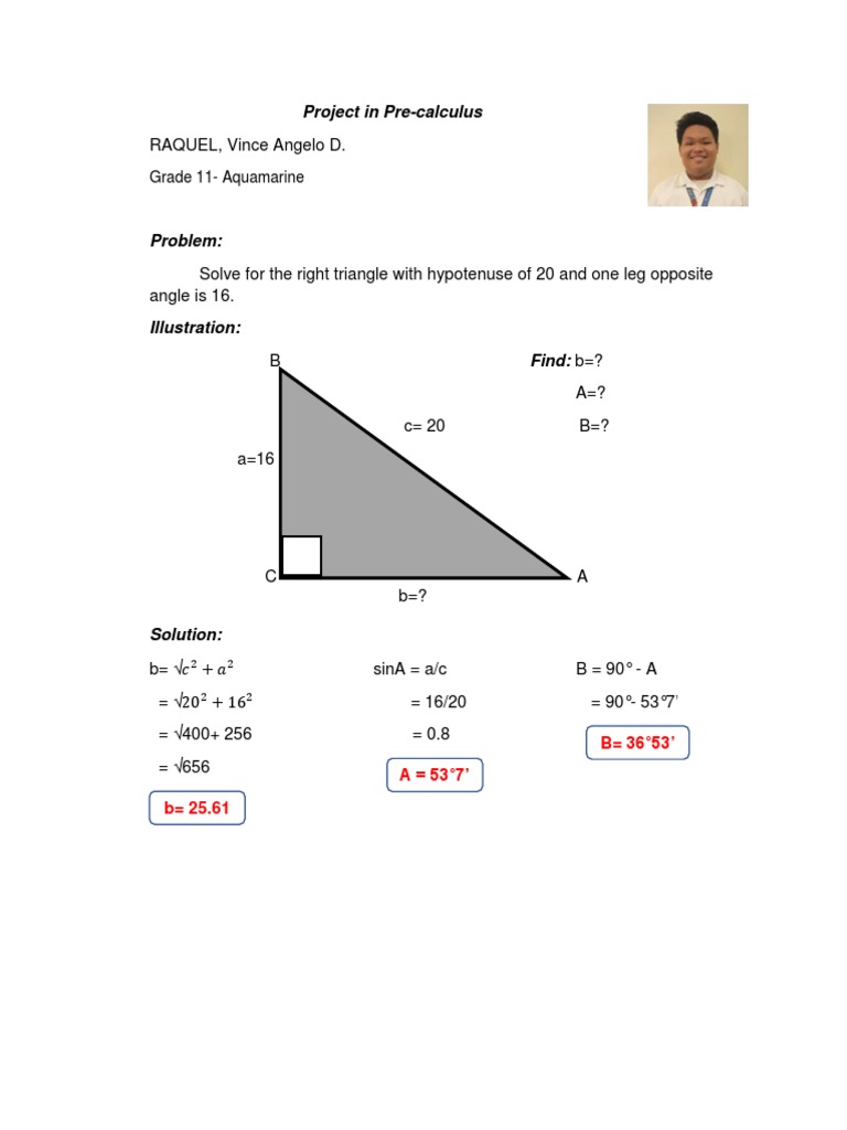 Right Triangle Solutions in Pre-Calculus | PDF | Polytopes | Geometric ...