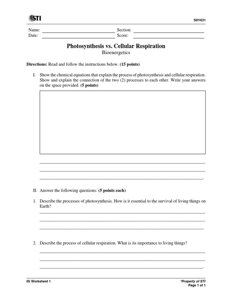 Photosynthesis vs. Cellular Respiration Worksheet | PDF | Finance ...