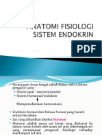 Anatomi Fisiologi Sistem Endokrin