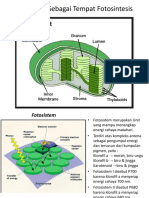 Materi 4 Anabolisme