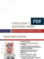 Fiso Renal