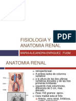Anatomía y fisiología renal en