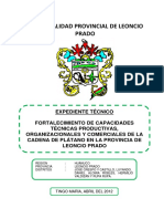 Expediente Técnico Plátano LP