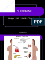 Sistema Endocrino