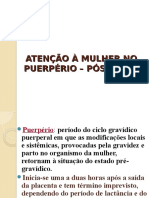 Aula Puerpério e Amamentação