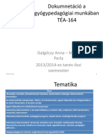 TÉA-164 Dokumnetáció A Gyógypedagógiai Munkában